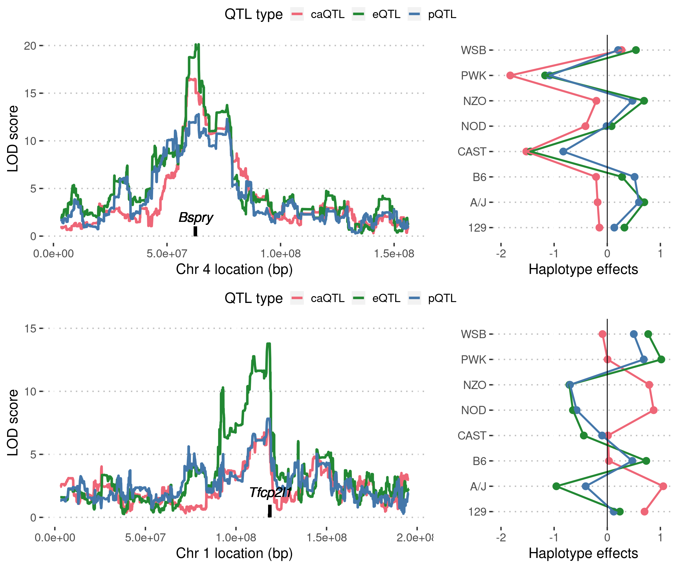 Figure 4C: Examples of significant pQTL where the influence of genetic variation is seen at all three molecular layers are shown. On the left, LOD scores obtained from genome scans using chromatin accessibility (caQTL), transcript (eQTL) and protein abundance (pQTL) of the associated gene is plotted with the protein coding gene location annotated on the x-axis. On the right, haplotype effects obtained from the caQTL, eQTL and pQTL peaks are shown.